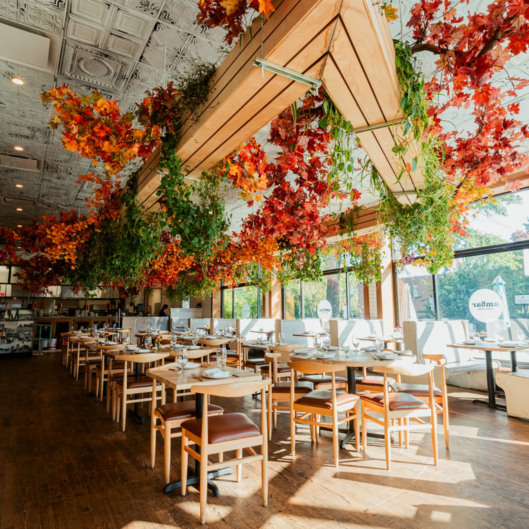 Celebrating 10 Years of Ambar Clarendon! 🎉