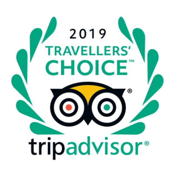 TripAdvisor 2019 Travellers' Choice award logo with an owl icon and green laurel.