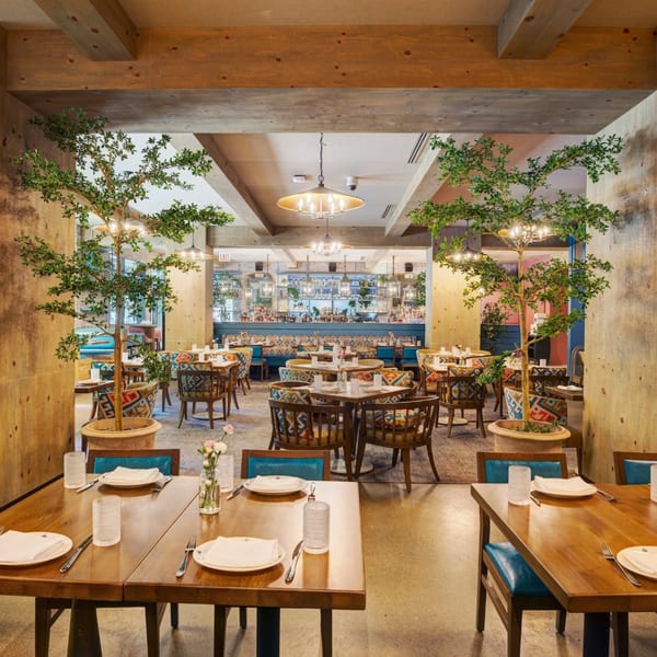Spacious restaurant dining room with wooden tables, patterned chairs, potted trees, and a bar in the background.