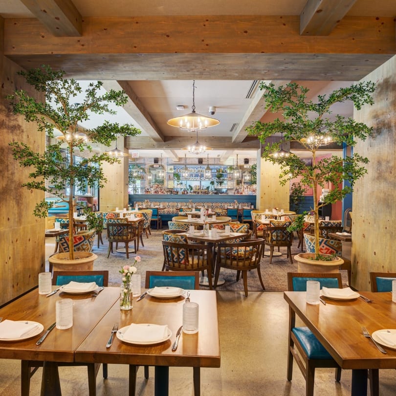 Spacious restaurant dining room with wooden tables, patterned chairs, potted trees, and a bar in the background.